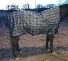 98,50€% REDUZIERT 600D HighNeck Regendecke m Fleece Blau Karo 135 145 155 EquiTack Regendecke mit Fleece