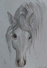 Pferd Aquarelle