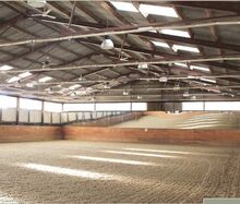 All inclusive Stall nur 5 Minuten von Wien