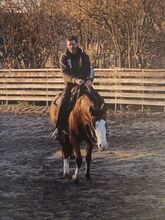 Allrounder