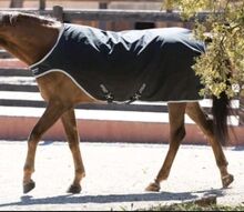 Amigo Walker 200 gramm 140 M-L