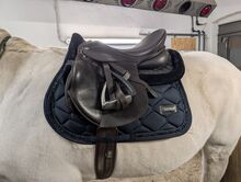 Kentaur Apollon Kentaur  Apollon