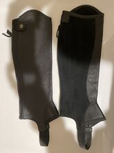 Ariat Half Chaps Ariat Concord Half Chaps