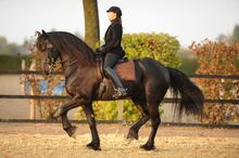 Ausbildung von Pferd und Reiter, Klassische Dressur