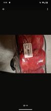 Bandagen Fleece Goldhorse 