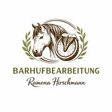 Barhufbearbeitung, Klebebeschläge, kein Hufschmied