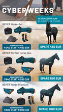 Bemer Horse Set Bemer Horse Set / Perfect Duo / Premium Set 