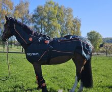 Bemer Horse Set Premium komplett Halsteil Gamaschen Bemer Horse Set Premium