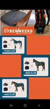 Bemer Horse Set Cyber Week Angebote Bemer Bemer Horse Set