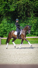 Black Beauty sucht dich