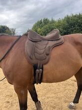 Baumloser Sattel - Reitpad