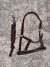 Halfter Bordeaux mit passendem Strick Showmaster