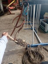 Bosal trense Unbekannt  Trense