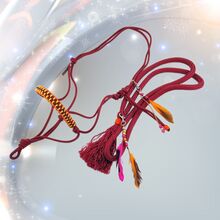 Tolles Set Bordeaux Halsring und Knotenhalfter Warmblut