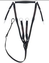 Vorderzeug Leder WB *neu* HB Ruitersport