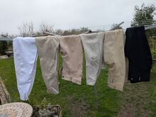 Breeches / jodpurs Cardene