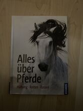 Buch Alles über Pferde Kosmos 
