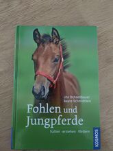 Buch über Fohlen und Jungpferde