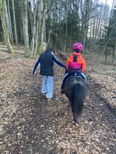Pflege-/ Reitbeteiligung