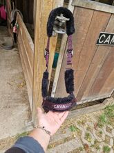 Cavallo Halfter WB