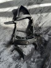 Kappzaum WB anatomisch