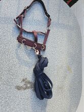 Kappzaum mit Longe Felix Bühler  Kappzaum mit Longe 