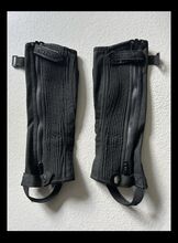 Chaps Steeds Gr KS Steeds