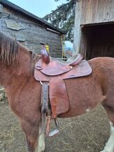 Kinder Westersattel 14" breite Kammer