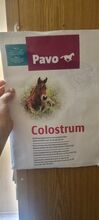 Colostrum Pavo