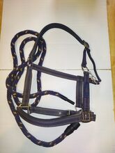 Covalliero goleygo Halfter mit Strick blau/Caramel Pony Covalliero 