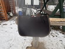 Covalliero Schabracke/schwarz/VS Covalliero