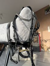 Kandare presteq Glitzer Lack Wb Full unterleg Trense Gebiss Presteq Kandare