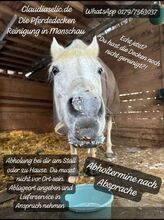 Pferdedecken Reinigung Alle Hersteller