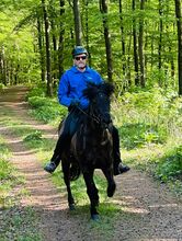 Reitbeteiligung auf Islandpferden im Bereich 35683 Dillenburg