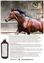 Olej ziołowy DEEP BREATH & LUNG REGENERATION dla koni z RAO Herbal EQUUS DEEP BREATH & LUNG REGENERATION