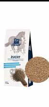 Derby Zucht Futter Derby Futter
