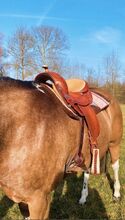 Deuber und Partner Flex Fit Vario Sattel 15,5 Zoll Deuber und Partner flex fit Vario Classic line pro