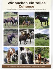 Verschiedene Ponys, Pferde und Absetzer
