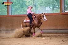 Traumhafte, erfolgreich geshowte Quarter Horse Stute