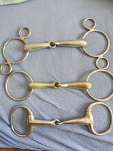 Drei einfach gebrochene Gebisse 14.5 cm