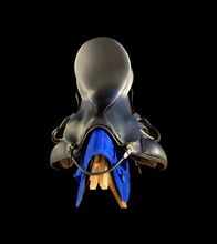 Dressursattel Prestige Top Dressage 17/34 + 2cm