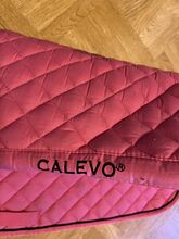 Dressurschabracke pink Calevo 