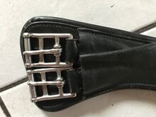 Dressur Leder Mondgurt Busse  Curved -DR 65 cm schwarz Leder 