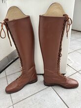 Dressur Maßstiefel Gr. 39 NEU Jollyjumper
