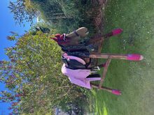 Holzpferd XXL mit Zubehör