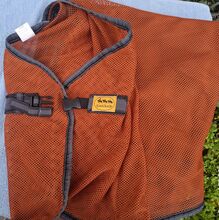 Kavalkade Fliegendecke Kavalkade 