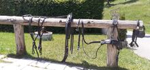 Einspänner Geschirr Biothane ARDEN Warmblut ARDEN