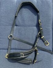 Bitless Bridles 