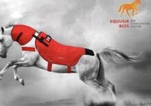 Equusir Magnetfelddecke für pferde Equusir BIOS Pferdedecke 