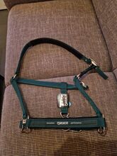Eskadron Halfter v cob grün neu Eskadron 